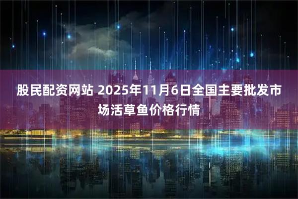 股民配资网站 2025年11月6日全国主要批发市场活草鱼价格行情
