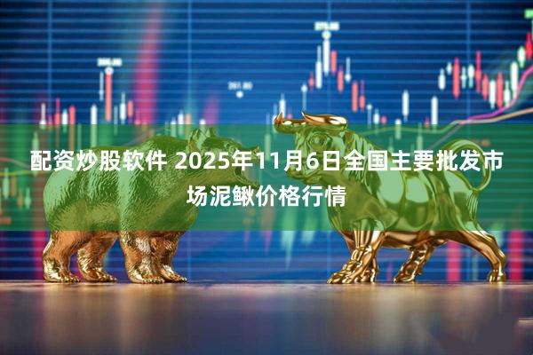 配资炒股软件 2025年11月6日全国主要批发市场泥鳅价格行情