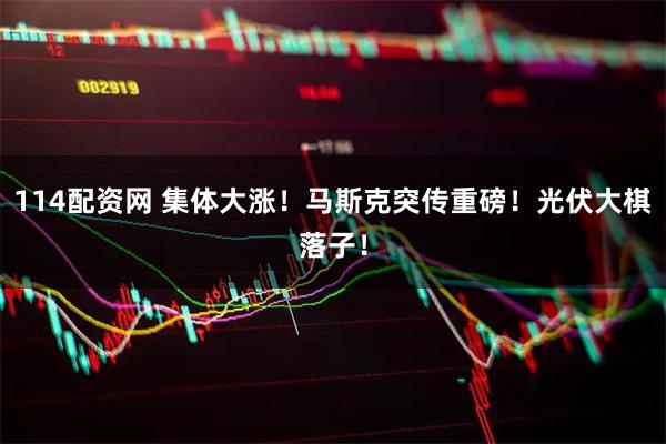 114配资网 集体大涨！马斯克突传重磅！光伏大棋落子！