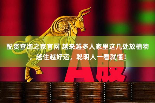 配资查询之家官网 越来越多人家里这几处放植物，越住越好运，聪明人一看就懂！