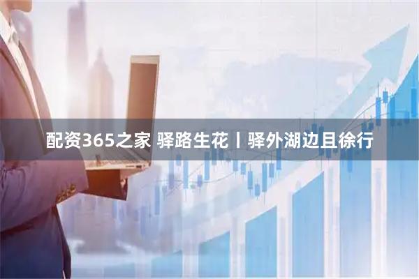 配资365之家 驿路生花丨驿外湖边且徐行